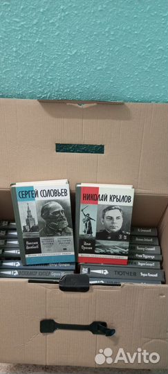 Книги из серии жзл