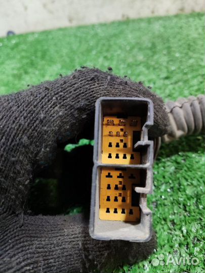 Проводка двери задняя правая Ford Focus 2 седан