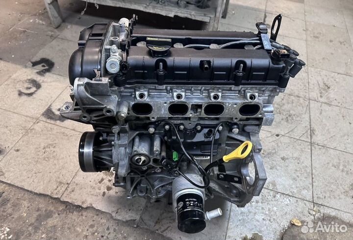 Двигатель форд фокус 3 1.6