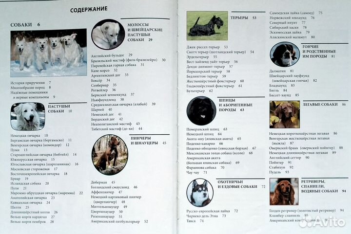 Энциклопедия о кошках и собаках