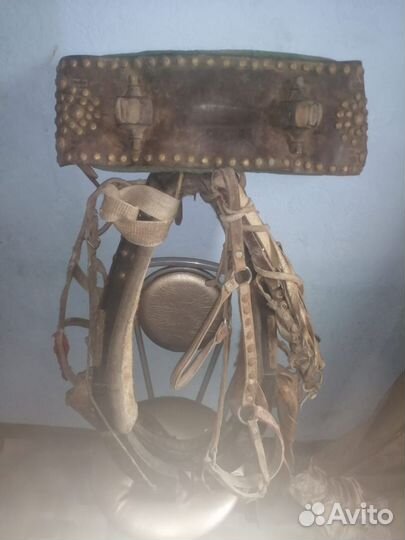 Сбруя для лошади