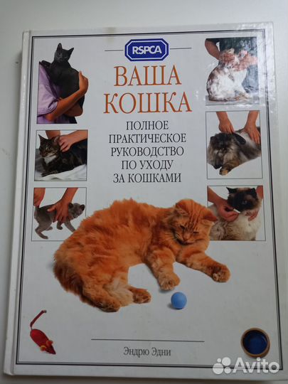 Книги о котах и кошках. Всё, что надо знать