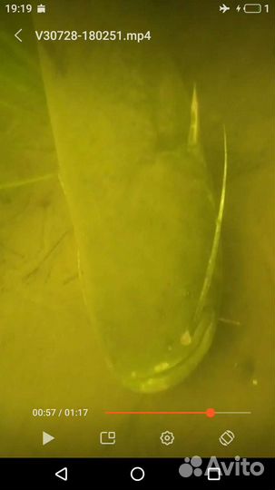 Подводная охота, туризм