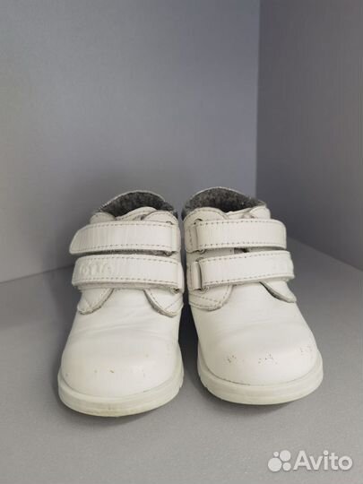 Ботинки демисезонные Totto flex 20