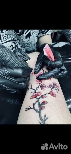 Тату, татуировки, студия