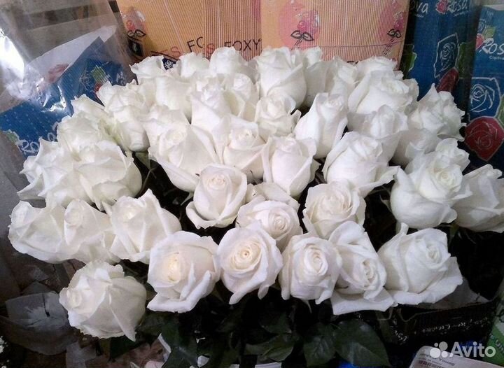 Розы Высокие 150см 160см 170см 180см 190см 2м