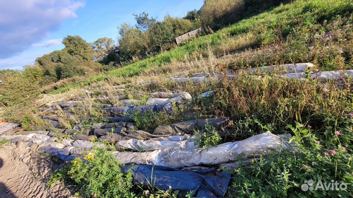 Боновое заграждение