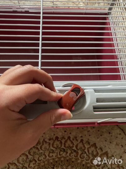 Клетка для грызунов ferplast