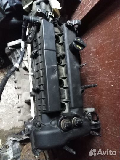 Двигатель Форд Ford Фокус 3 2.0 xqda