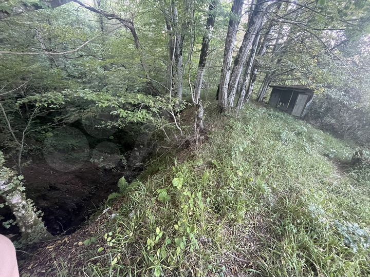 Участок 4,6 сот. (СНТ, ДНП)