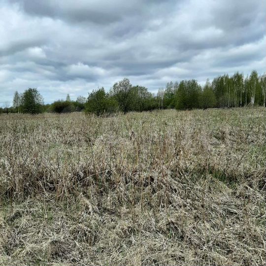 Участок 12,5 сот. (ИЖС)