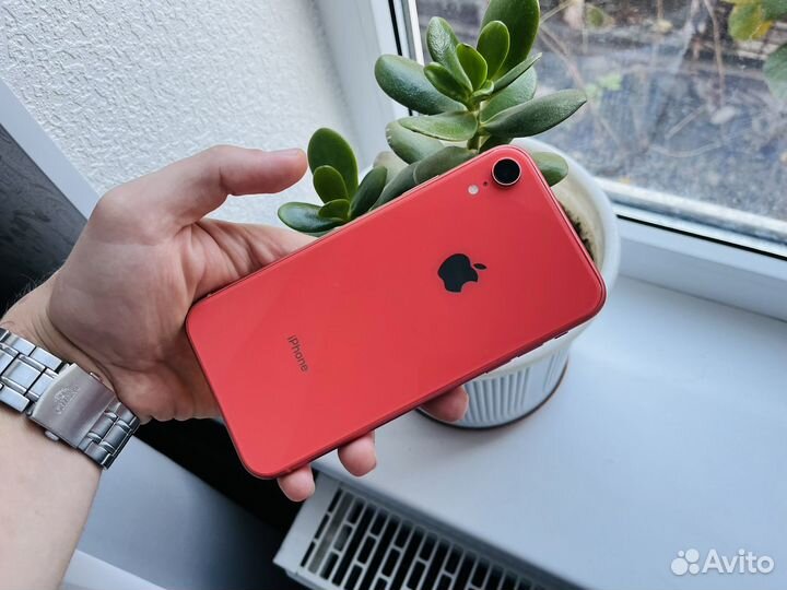 iPhone Xr, 256 ГБ