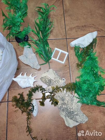 Аквариумное растение, камни, коряги