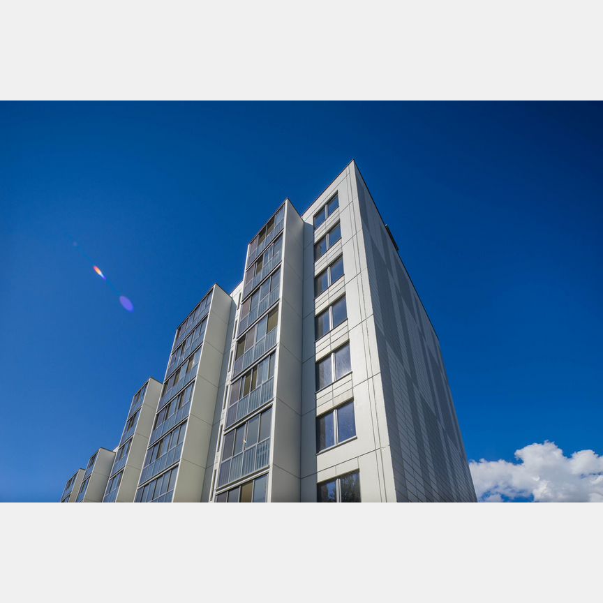 1-к. апартаменты, 50,9 м², 1/8 эт.