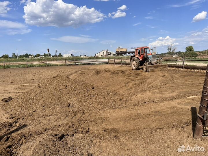 Конский навоз