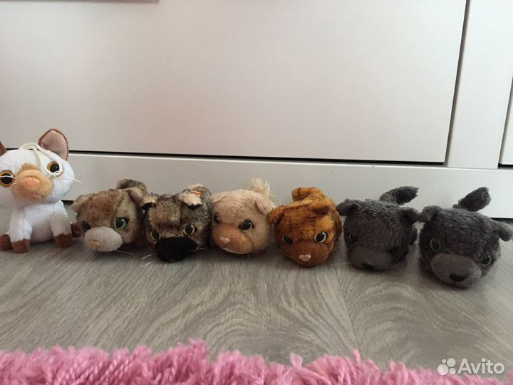 Коты из журналов