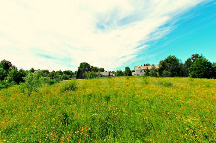 Участок 50 сот. (ИЖС)