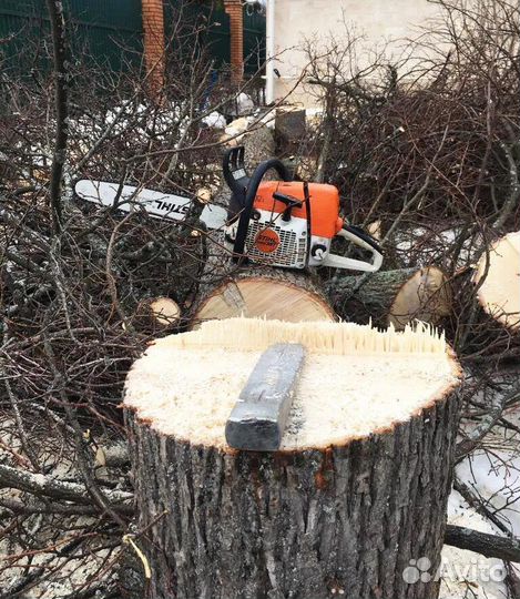 Спил деревьев с вывозом