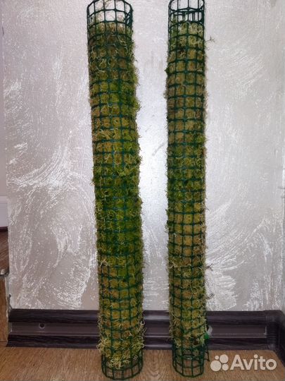 Тотем для растений