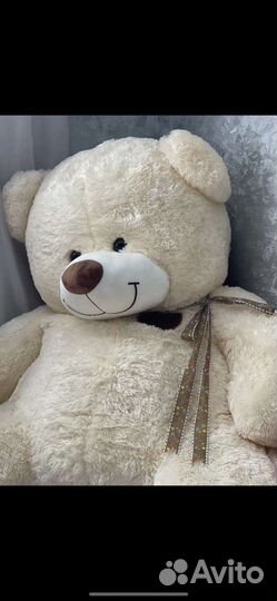 Плюшевый мишка 200см