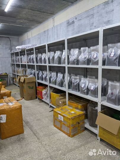 Чай из стран Азии оптом