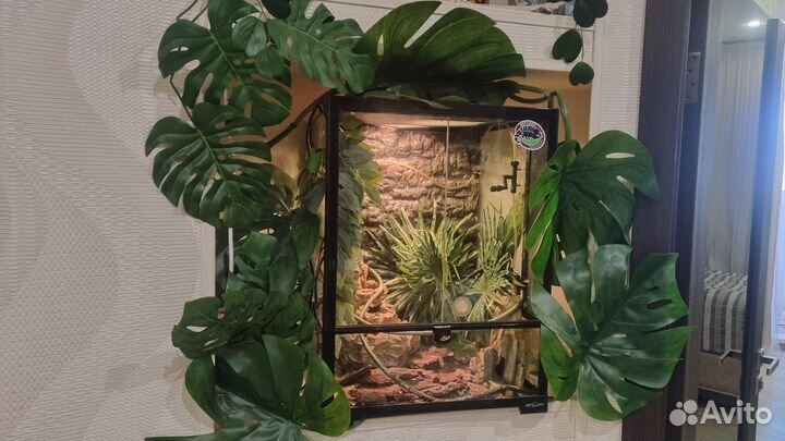 Террариум для рептилий