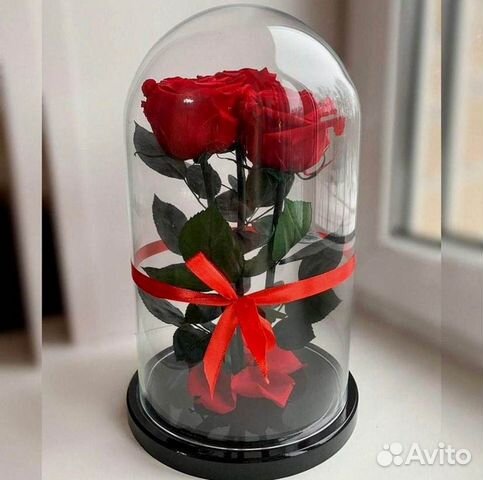Роза в колбе. От производителя