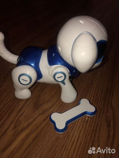 Собака робот дружок