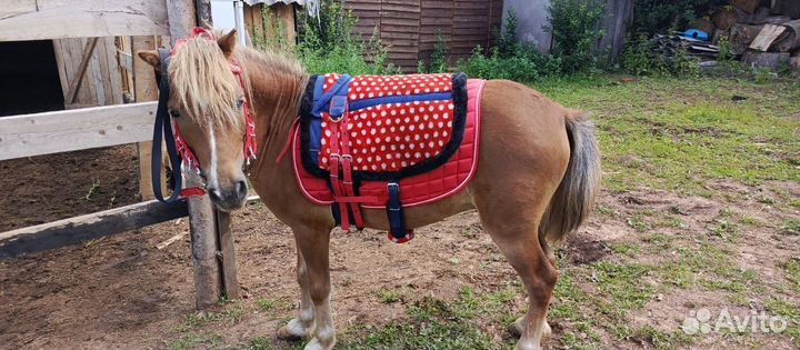 Пад(мягкое седло) для пони