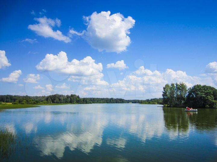 Участок 30 сот. (СНТ, ДНП)