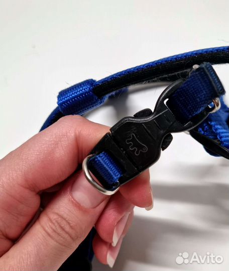 Шлейка для собаки