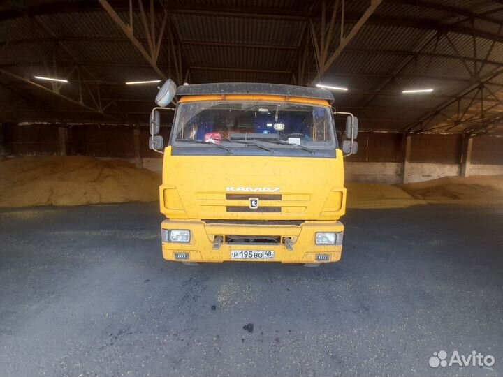 КамАЗ 65116-N3, 2011