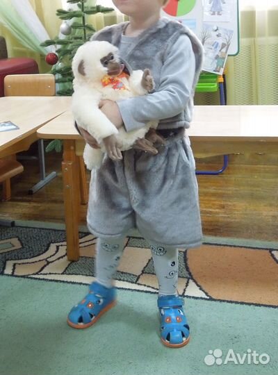 Новогодние костюмы для мальчика (Гном, волк)