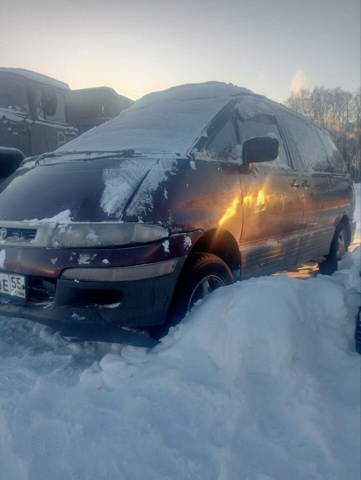 Toyota Estima: фото владельца