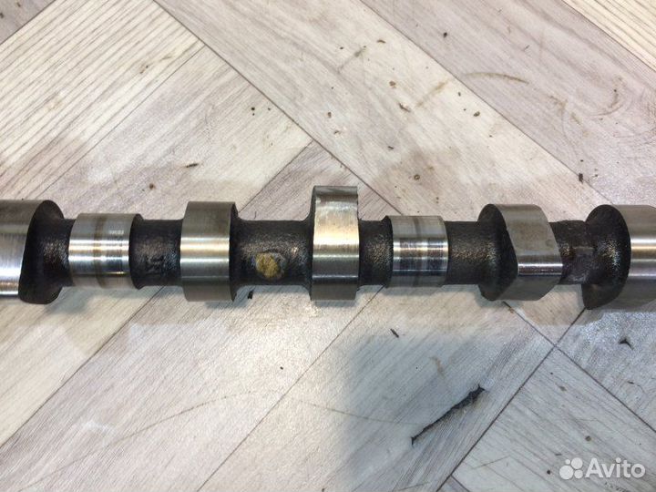 Распредвал выпускной Nissan Pathfinder R51