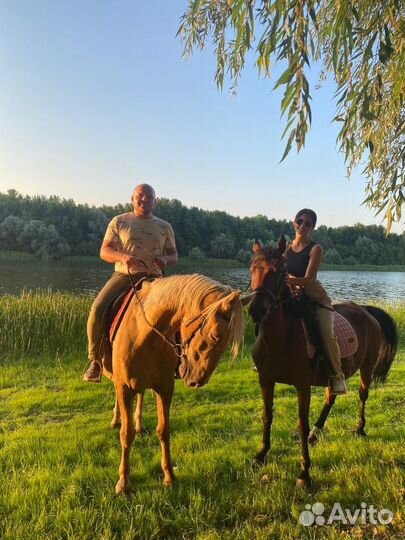 Конные прогулки