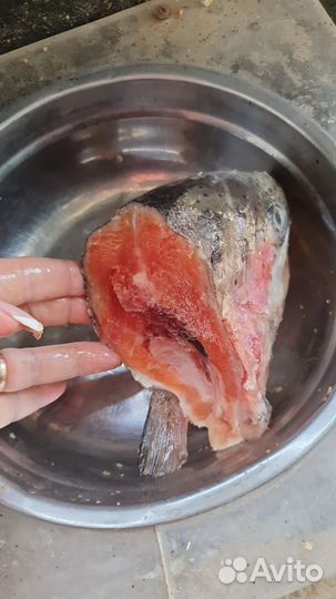 Фарш говяжий для собак