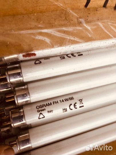 Лампа цветная osram FH 14 W/66