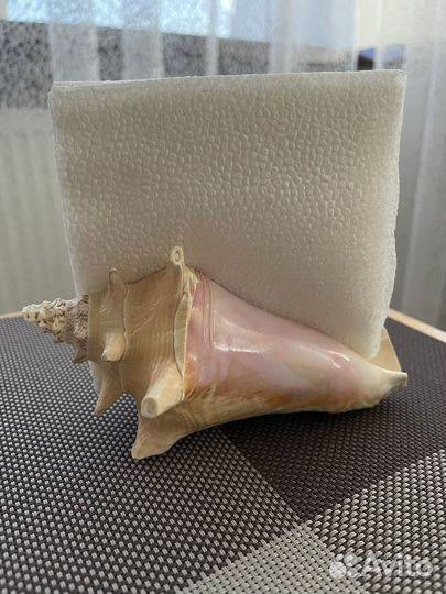 Салфетница