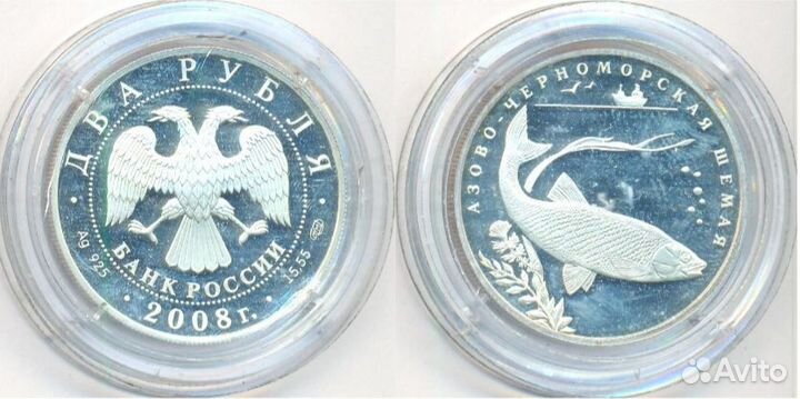 Красная книга. Азово-Черноморская шемая