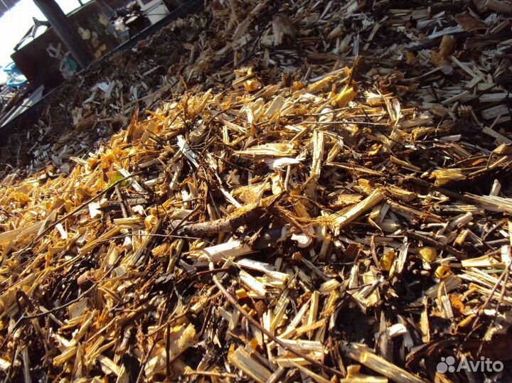 Мульча яблоневая