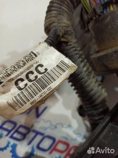 Проводка двс Ford Focus 3 хэтчбек 1.6 iqdb 2013