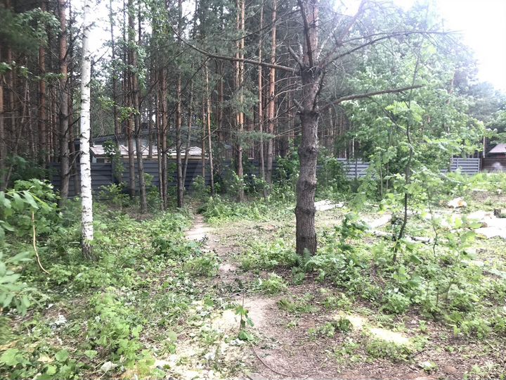 Участок 9 сот. (СНТ, ДНП)