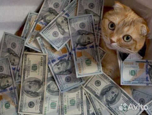 Работа с еженедельными выплатами