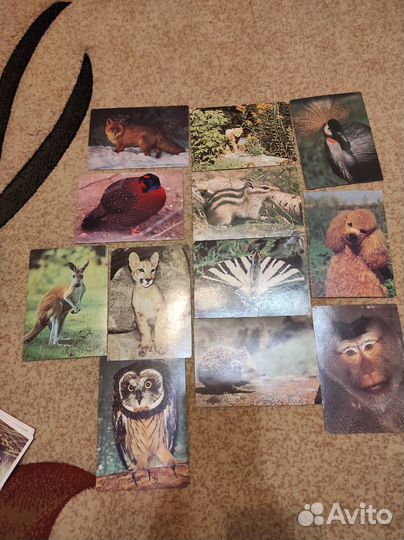 Открытки советские СССР