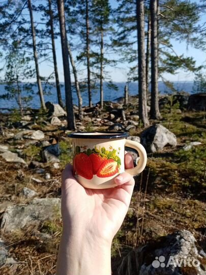 Экскурсия — Петрозаводск — Таёжное Чаепитие: Горны