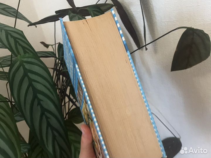 Книга рецептов на каждый день