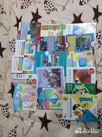 Школьные учебники