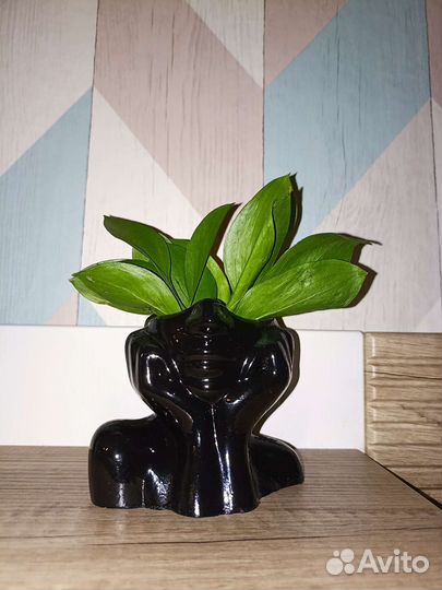 Ваза интерьерная для сухоцветов