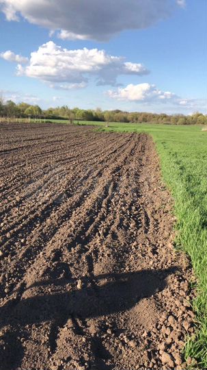 Дом 70 м² на участке 40 сот.